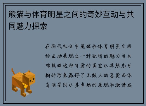 熊猫与体育明星之间的奇妙互动与共同魅力探索